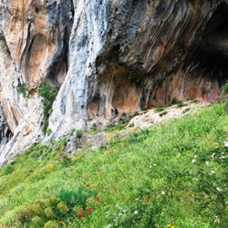 Γραμμένες Σπηλιές (πάνω από το χωριό Κομποτάδες)
